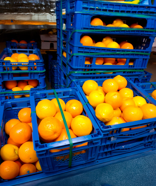 Food Industry